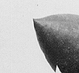 Thumbnail: Scanned photo of dirigible over Schenley Park 
(detail).