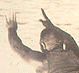 Thumbnail: Scanned photo of a swimmer in mid-dive (detail).