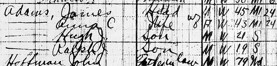 Scanned photo of 
portion of 1910 Census.