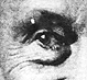 Scanned portrait of 
John Brashear (detail).