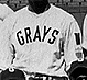 Thumbnail: Photo of Homestead Grays 1943 team
(detail).