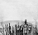 Thumbnail:_Photo_of_painting_of_the_Great_Fire_of_1845_(detail).