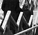 Thumbnail:_Photo_of_steps_in_Hazelwood_(detail).