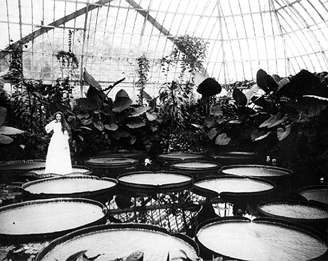 Photo_of_lady_standing_upon_lily_pad.