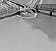 Thumbnail:_Photo_of_The_Point_in_1957_(detail).