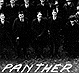Thumbnail:_Photo_of_Pitt_Panther_formed_by_faculty_and_students_(detail).