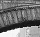Thumbnail:_Photo_of_Bridge_of_Sighs_(detail).