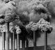 Thumbnail:_Photo_of_Smokestacks_(detail).